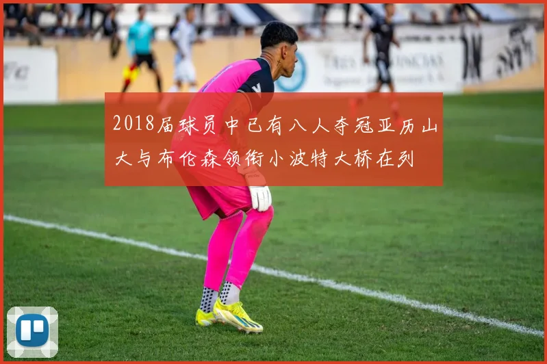 2018届球员中已有八人夺冠亚历山大与布伦森领衔小波特大桥在列